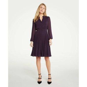 Ann Taylor Pleated Flare Dress in Plum Petal - Size 00